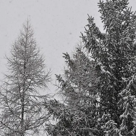 Sonjas Ferienwohnung Appartement Sankt Johann im Pongau